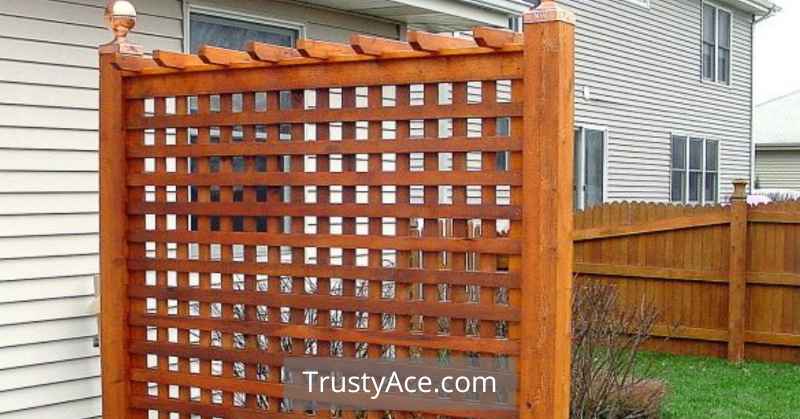 Garden Privacy Trellis Ideas