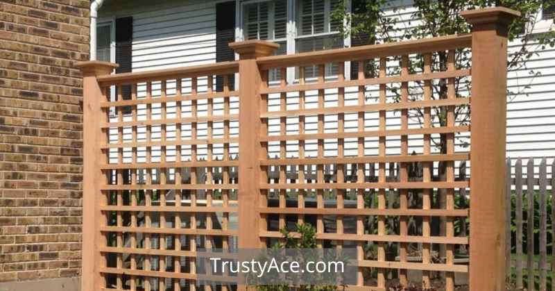 Garden Trellis Ideas