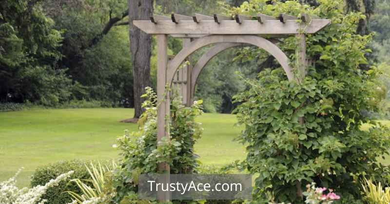 Garden Trellis Arbor Ideas