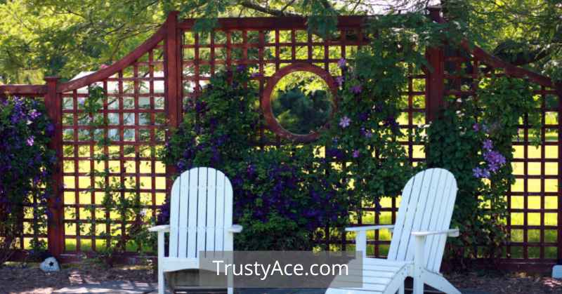 Garden Trellis Ideas Privacy