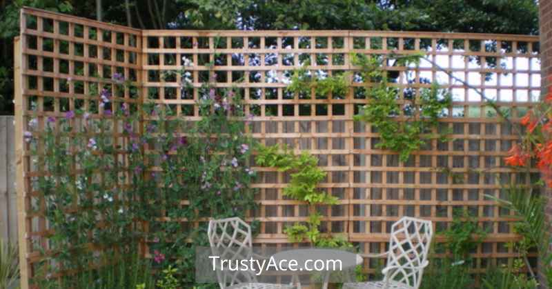 Garden Trellis Ideas For Privacy