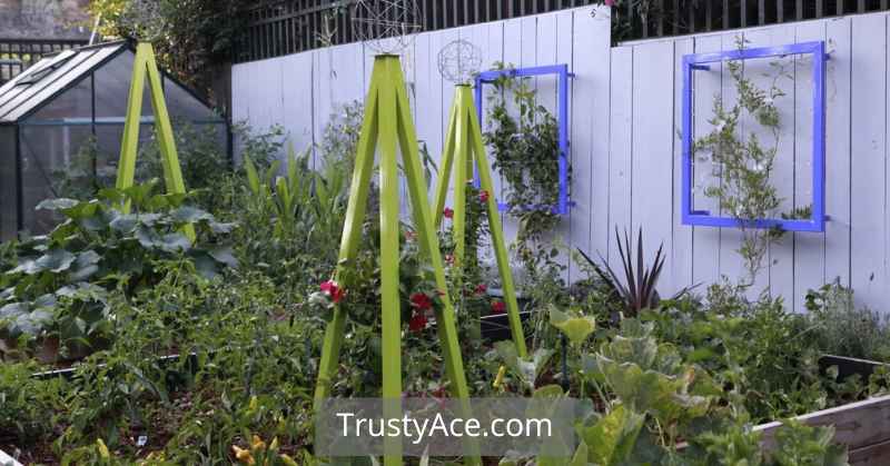 Garden Tripod Trellis Ideas