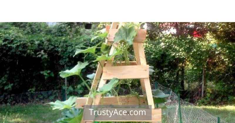 Homemade Trellis Ideas For Zucchini