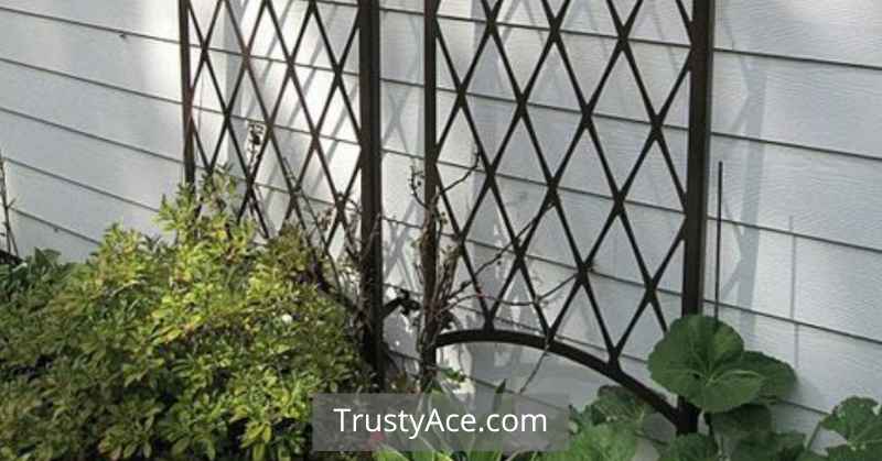 Trellis Ideas Metal