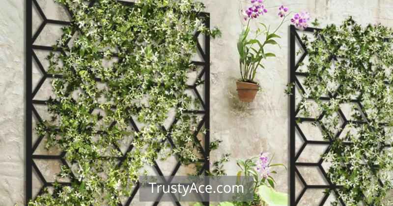 Metal Trellis Ideas