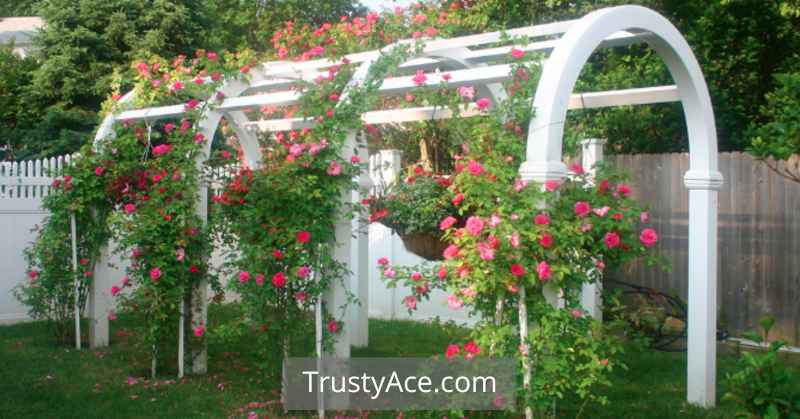 PVC Trellis Ideas For Garden