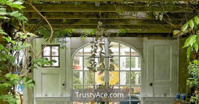 Pergola Privacy Screen Trellis Ideas