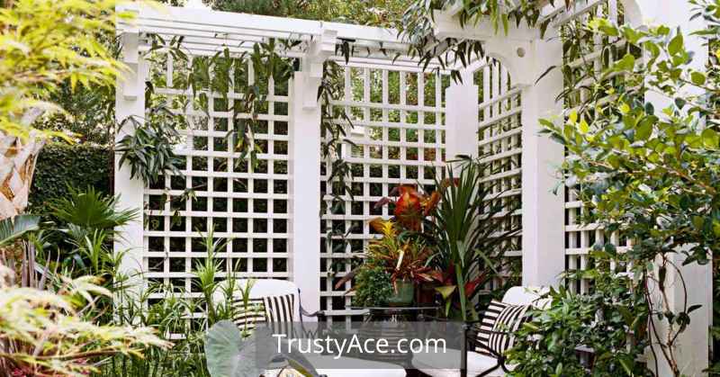 Privacy Trellis Ideas