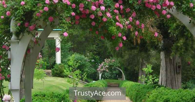 Trellis Archway Decor Ideas