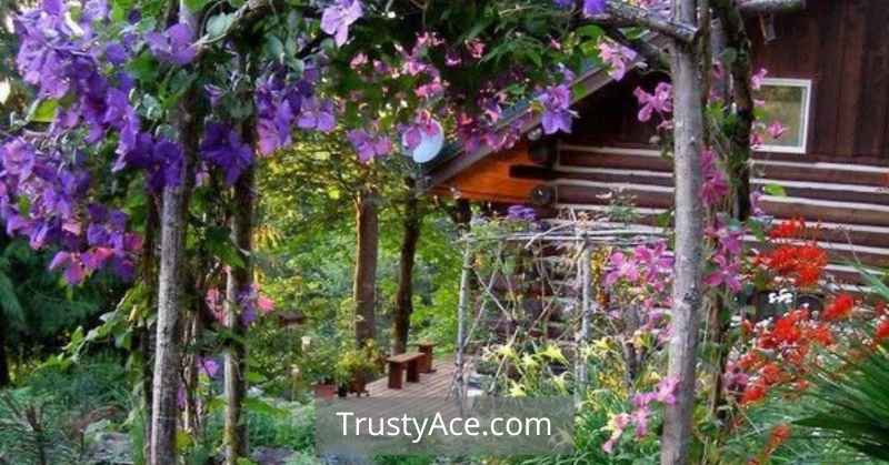 Trellis Ideas Archway Decor