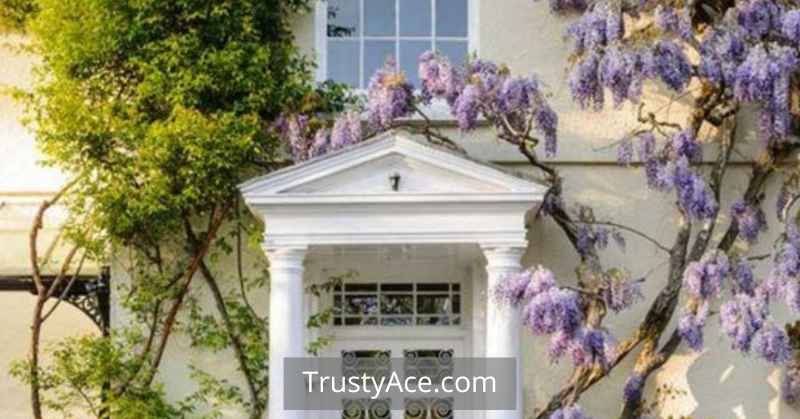 Wisteria Trellis Ideas