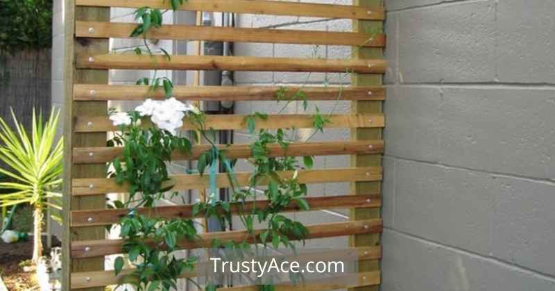 Trellis Ideas Made From A Pallet