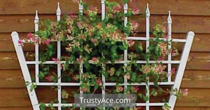 Vinyl Trellis Designs Ideas