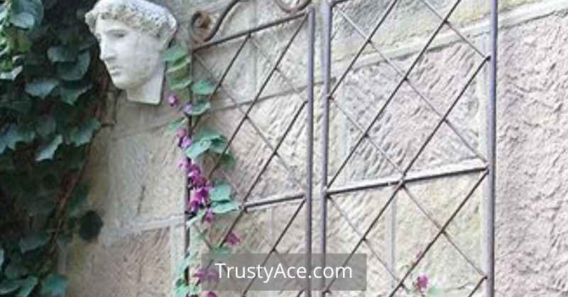 Wire Garden Trellis Ideas