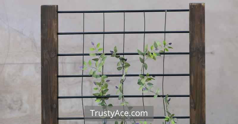 Trellis Ideas With Wood And Rope