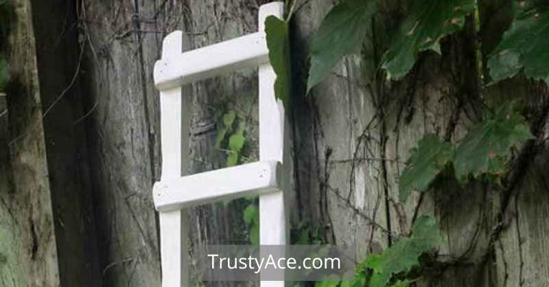 Trellis Ideas Wood