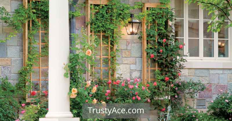 Wood Trellis Ideas