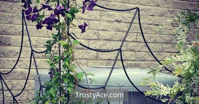 Wrought Iron Trellis Ideas