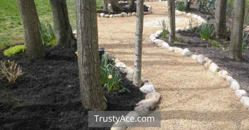 Backyard Walkway Ideas Gravel