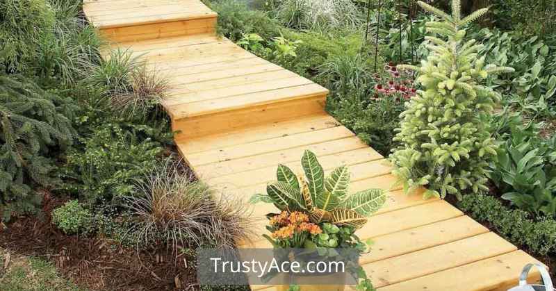 Backyard Raised Wooden Walkway Ideas