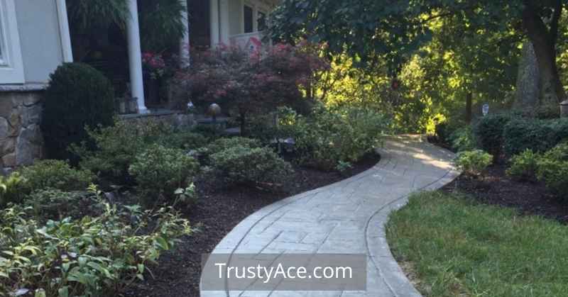 Stamped Concrete Walkway Ideas