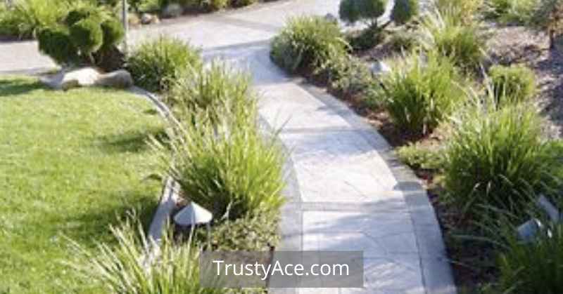 Walkway Ideas Stamped Concrete