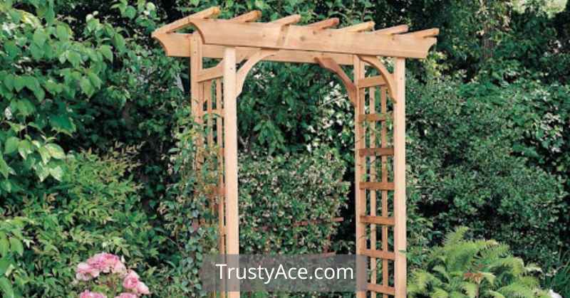 Backyard Walkway Ideas With Rebar Arbor