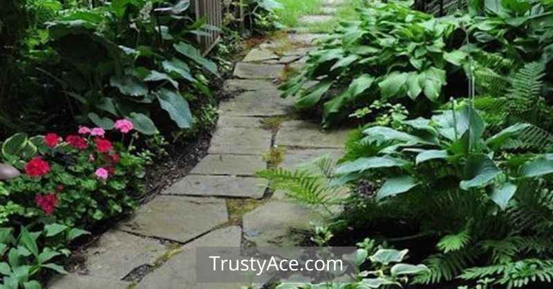 Cottage Garden Walkway Ideas