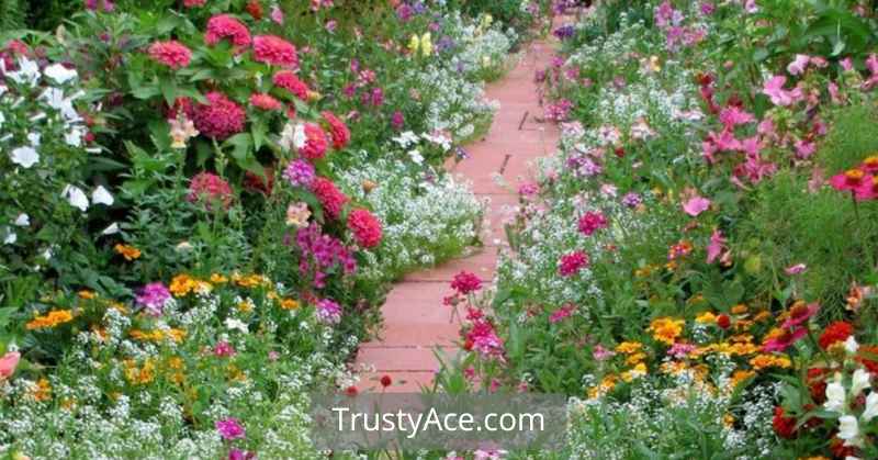 Walkway Ideas Cottage Garden