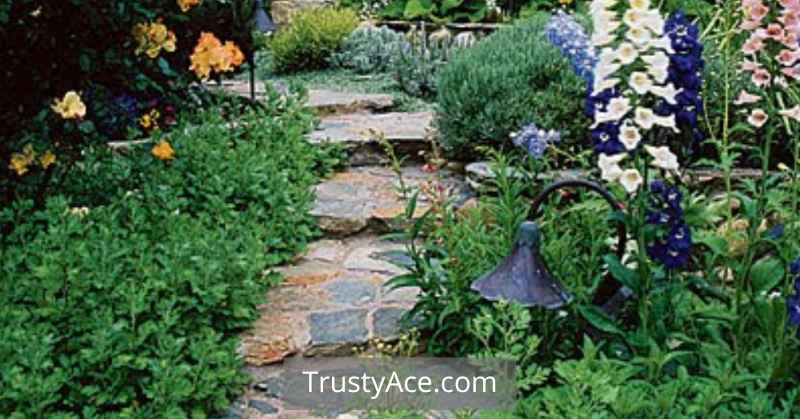 Walkway Ideas For Cottage Garden