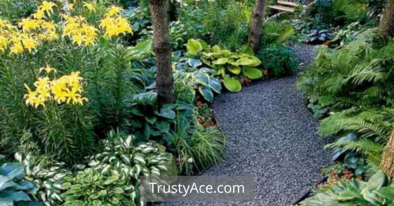 Garden Walkway Ideas DIY