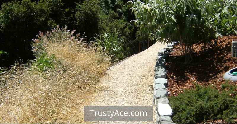 Walkway Ideas For Path With Decomposed Granite