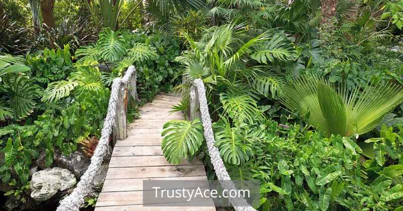 Dreamy And Delightful Garden Walkway Ideas