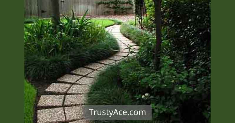 Easy Backyard Walkway Ideas