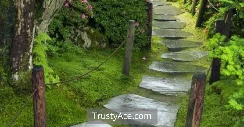 Fairy Garden Walkway Ideas