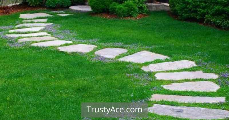 Garden Walkway Ideas On A Budget