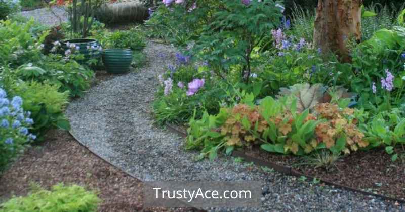 Walkway Ideas For Garden On A Budget