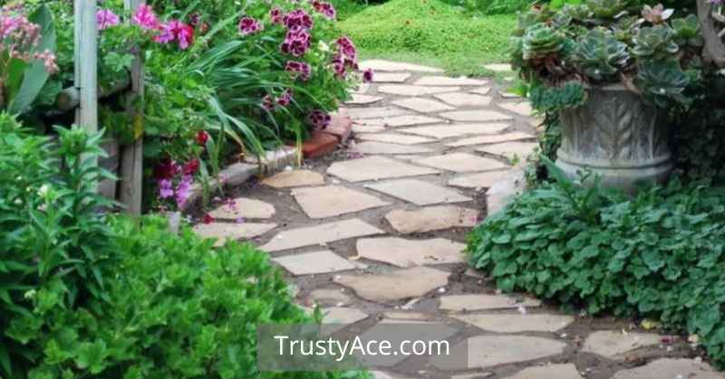 Walkway Ideas On A Budget For Garden