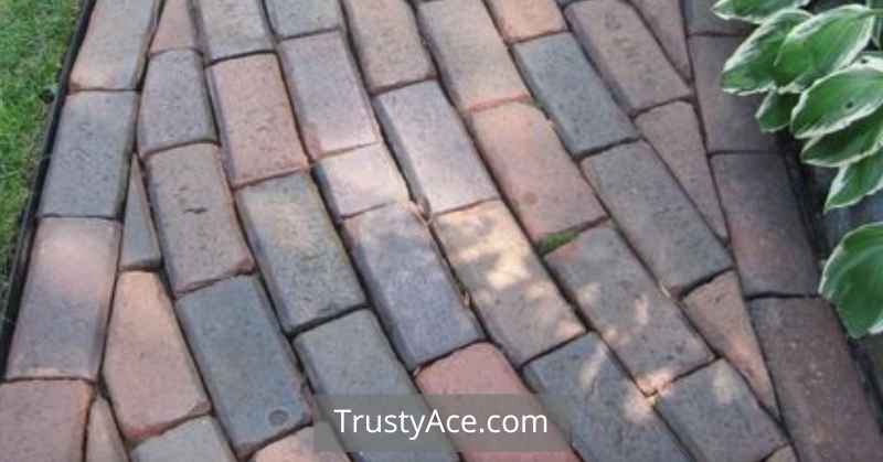 Paver Stone Walkway Ideas