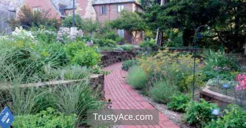 Garden Walkway Ideas For The Blind Or Visually Impaired