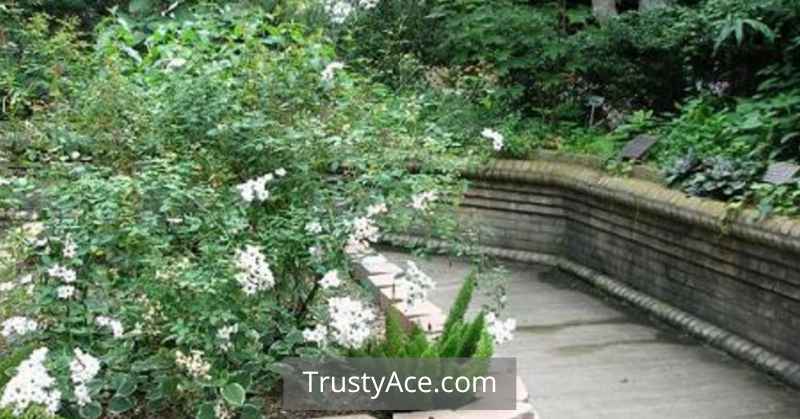 Blind Or Visually Impaired Garden Walkway Ideas