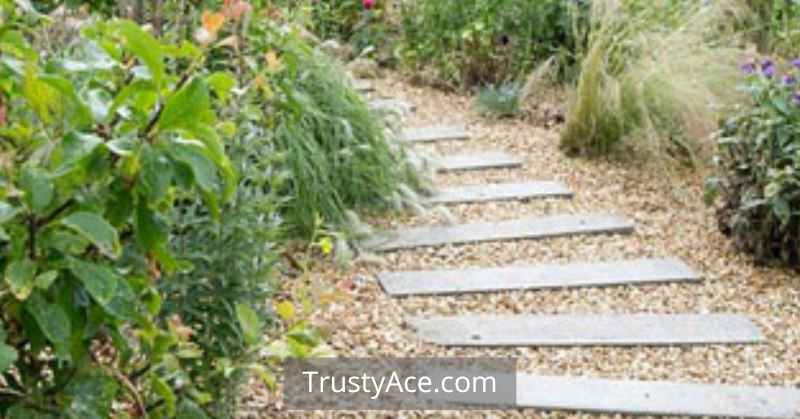 Walkway Ideas Pea Gravel