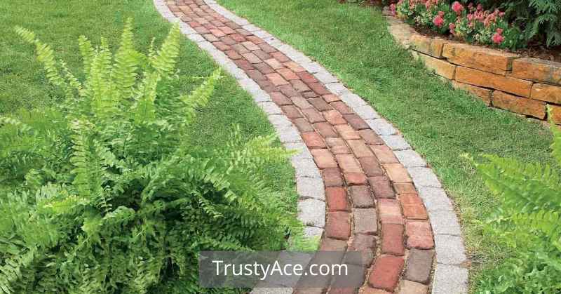 Informal And Inexpensive Walkway Ideas