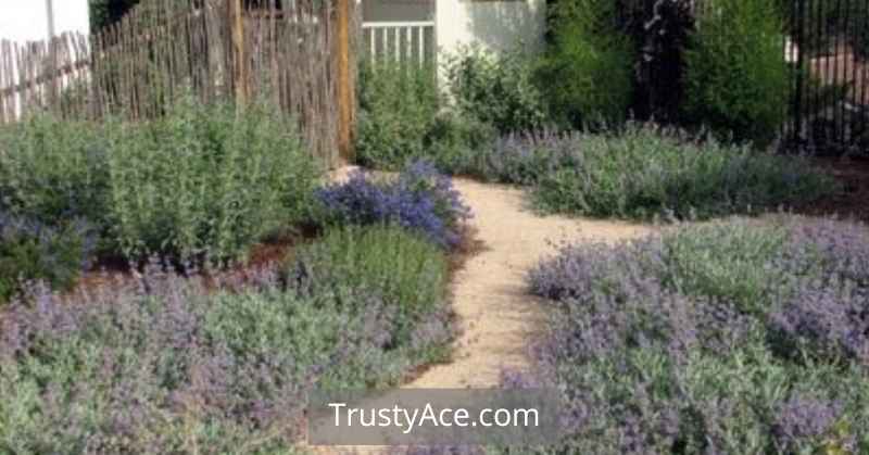 Inexpensive Walkway Ideas Informal