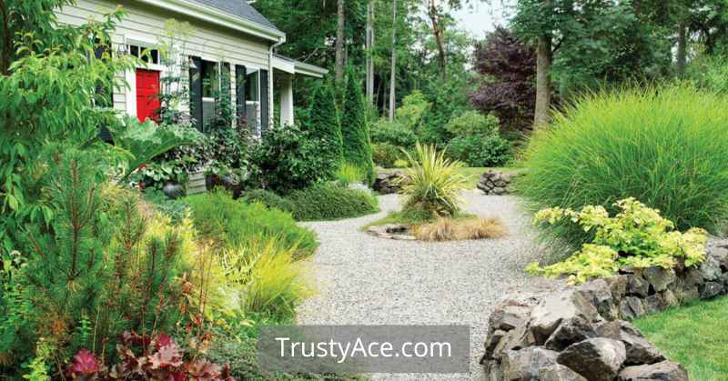 Irregularly Shaped Backyard Walkway Ideas