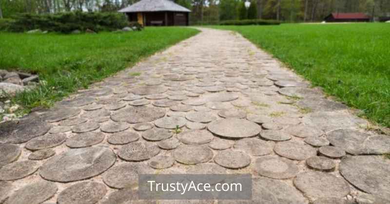 Walkway Ideas With Log Slice Stepping Stones