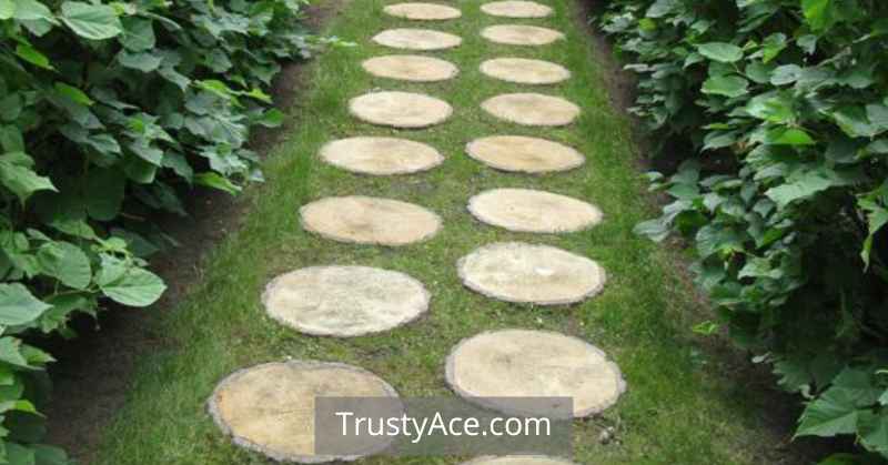 Log Slice Stepping Stones Walkway Ideas