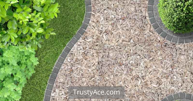 Mulch Walkway Ideas