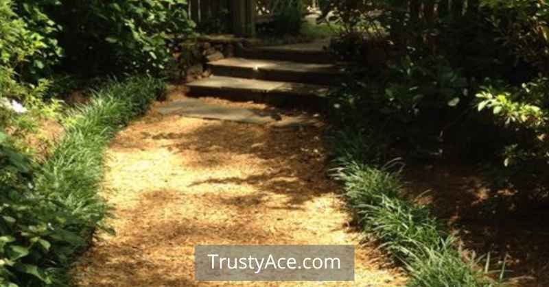 Walkway Ideas With Mulch