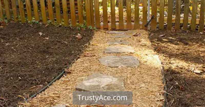 Walkway Ideas Using Mulch